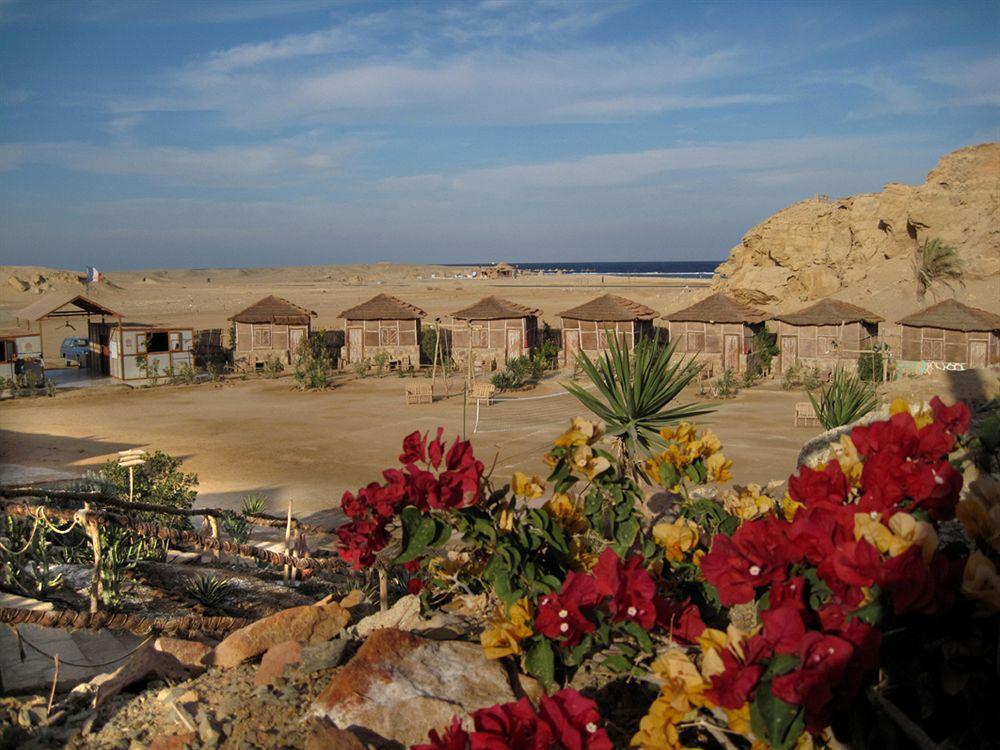 Roots Red Sea Hotel Kuszeir Kültér fotó