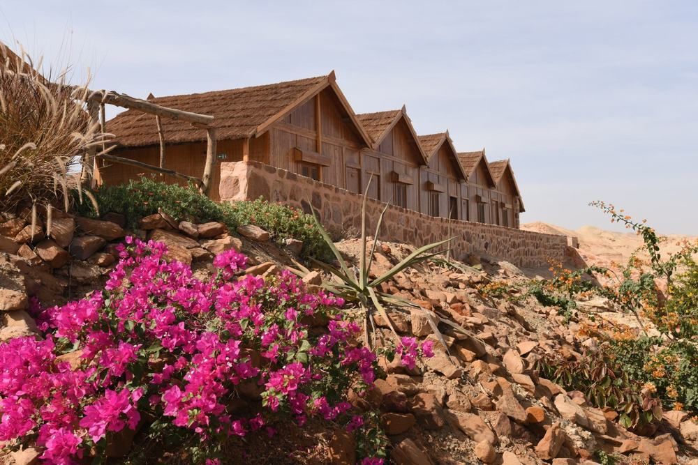 Roots Red Sea Hotel Kuszeir Kültér fotó
